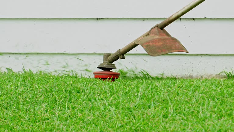 Best Soil Testing and Treatment  in Trophy Clu, TX